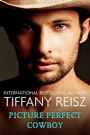 Picture Perfect Cowboy (The Original Sinners, #8.5)