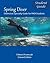 Spring Diver: Distinctive S...