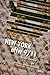 New York After 9/11 by Susan Opotow