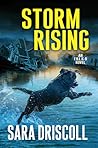 Storm Rising