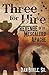 Three for Hire: Revenge of the Mescalero Apache (Three For Hire The Complete Series by Dan Burle Sr.)