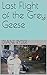 Last Flight of the Grey Geese by Diane Ryder