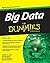 Big Data for Dummies