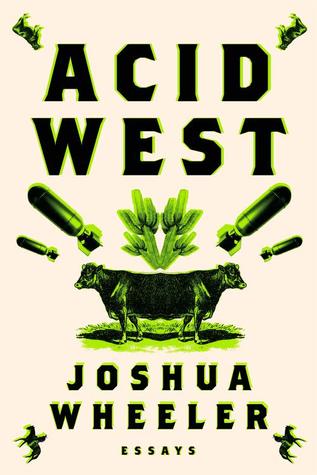 Acid West: Essays (Paperback)
