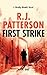 First Strike (Brady Hawk #1)