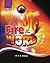 Fire in the Word Volume 12