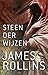 Steen der wijzen (Sigma Force, #2)