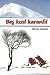 Beş Kızıl Karanfil by Mircan Karaali