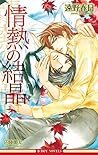 情熱シリーズ 4 情熱の結晶 情熱シリーズ 4 情熱の結晶