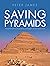 Saving the Pyramids: Twenty...