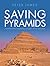 Saving the Pyramids by Peter  James