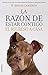 La razón de estar contigo: El regreso a casa