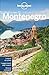 Montenegro (Italian Edition)