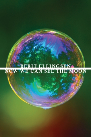 Now We Can See the Moon (Paperback)