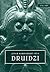 Druidzi