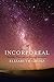 The Incorporeal: Ontology, ...
