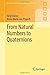 From Natural Numbers to Quaternions (Springer Undergraduate Mathematics Series)