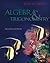 Algebra and Trigonometry by John W. Coburn