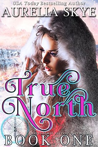 True North (True North, #1)