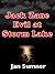 Jack Zane: Evil at Storm Lake
