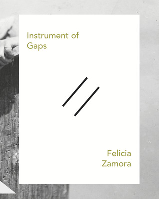 Instrument of Gaps (Paperback)