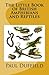 The Little Book of British Amphibians and Reptiles