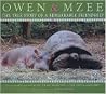 Amazing True Story of Owen and Mzee by Isabella Hatkoff