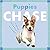 Puppies Chase (Amicus Ink Board Books)