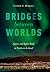 Bridges between Worlds: Spi...