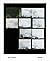 Zoe Leonard: Survey
