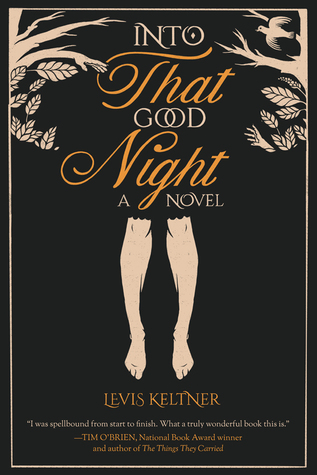 Into That Good Night (Hardcover)