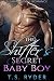 The Shifter's Secret Baby Boy (Shades of Shifters #13)