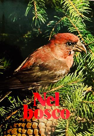Nel bosco (Softcover )