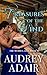 Treasures of the Wind by Audrey  Adair
