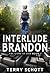 Interlude-Brandon (The Game is Life, #3)