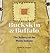 Buckskin and Buffalo: The Artistry of the Plains Indians