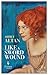 Like a Sword Wound by Ahmet Altan