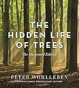 The Hidden Life of Trees: The Illustrated Edition