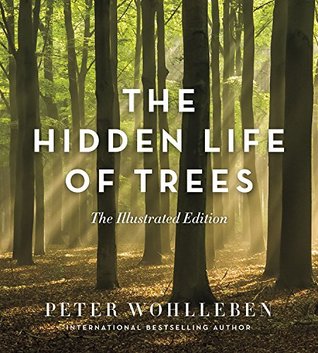 The Hidden Life of Trees: The Illustrated Edition (Hardcover)