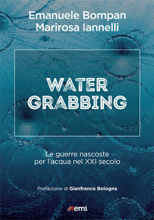 Water grabbing: Le guerre nascoste per l'acqua nel XXI secolo (Paperback)