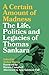 A Certain Amount of Madness: The Life, Politics and Legacies of Thomas Sankara (Black Critique)