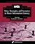 Ideas, Strategies, and Scenarios in Music Information Literacy