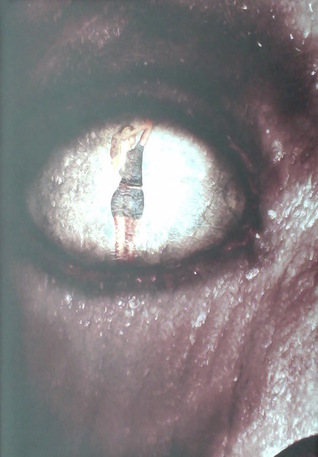 Masters of the Weird Tale: David Case