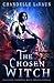 The Chosen Witch by Chandelle LaVaun