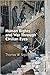 Human Rights and War Through Civilian Eyes (Pennsylvania Studies in Human Rights)