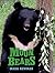 Moon Bears