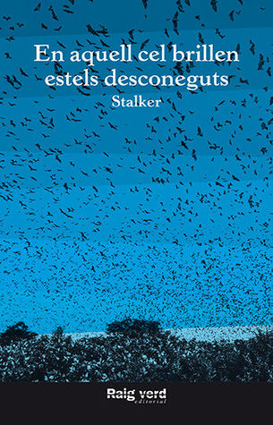 En aquell cel brillen estels desconeguts (Paperback)