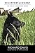 Schippertainment by Richard Davis