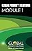 Module 1 Workbook: Global P...