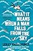 What It Means When A Man Falls From The Sky